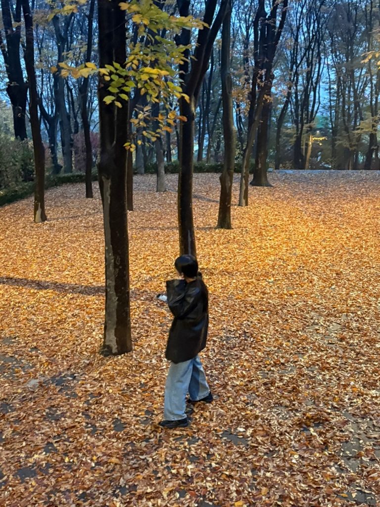 A person walking in a park covered with fallen autumn leaves.
