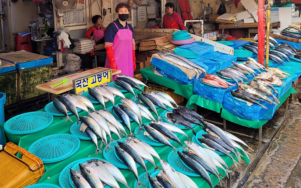 Fresh seafood displayed at Jagalchi Fish Market in Busan, including mackerel and local fish