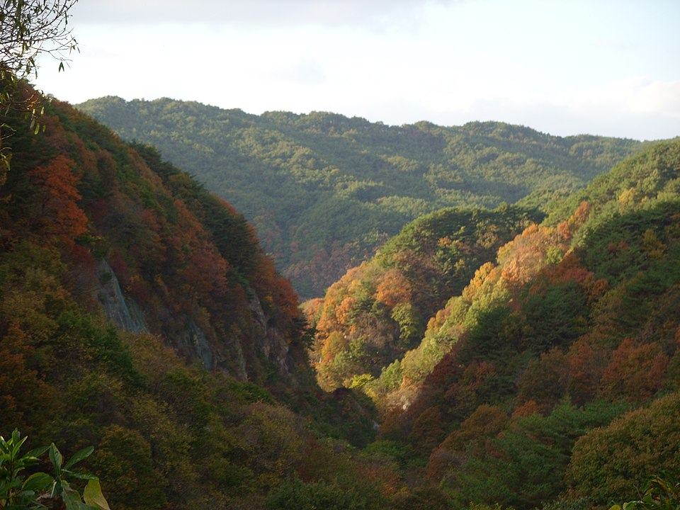 Autumn foliage in Jirisan National Park, South Korea’s second highest mountain