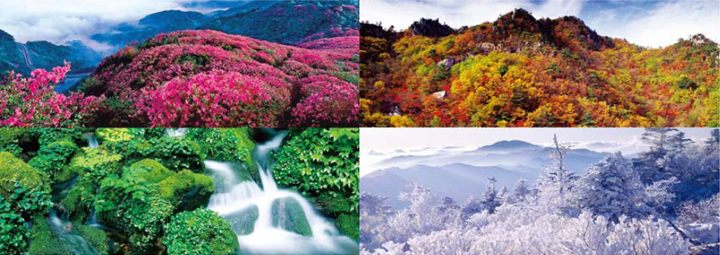 Seasonal mountain scenery in South Korea: spring azaleas, summer valleys, autumn foliage, and snow-covered winter peaks