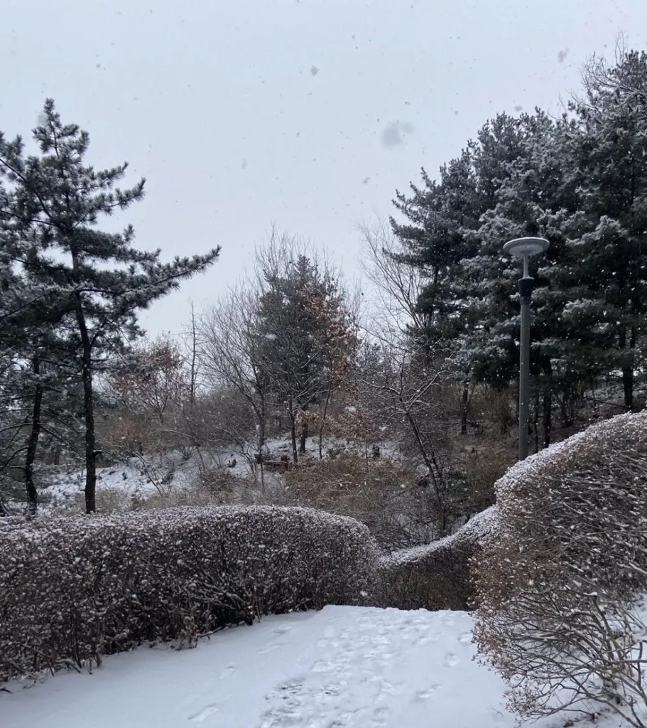 Snow-covered trees and pathways in a Korean park during winter.